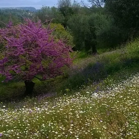 Holiday home Kardami -country House