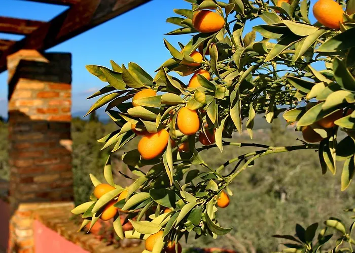 Kardami -country House Ferienhaus Agios Gordios (Corfu)