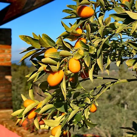 Kardami -country House בית נופש אגיוס גורדיוס