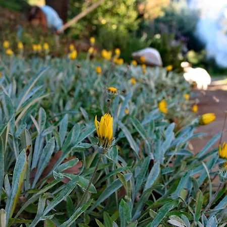 Kardami -country House Agios Gordios (Corfu)