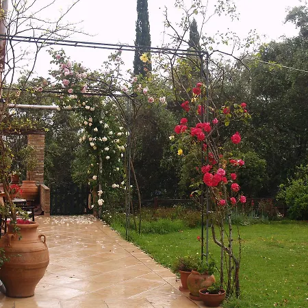 בית נופש Kardami -country House אגיוס גורדיוס