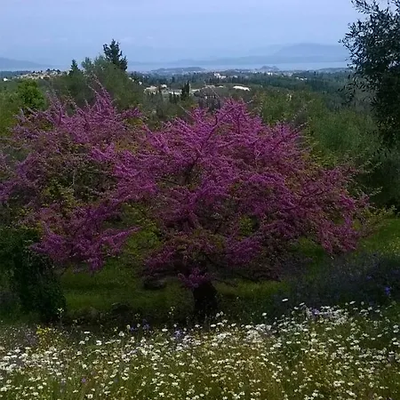 Kardami -country House בית נופש אגיוס גורדיוס